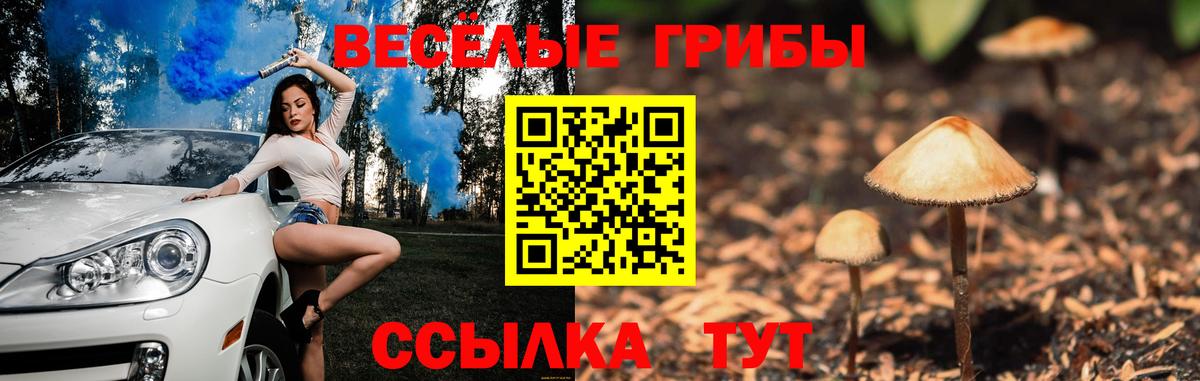 Псилоцибиновые грибы прущие грибы  Вход с VPN  Галлюциногенные грибы мухоморы  Муром 